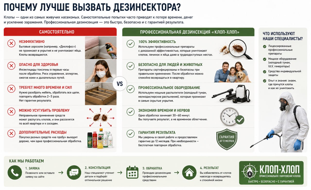 Почему лучше вызвать дезинсектора